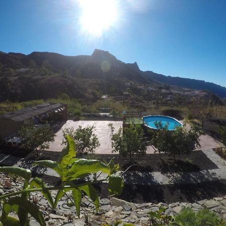 Ecotara Canary Islands Guest House Fátaga Екстериор снимка