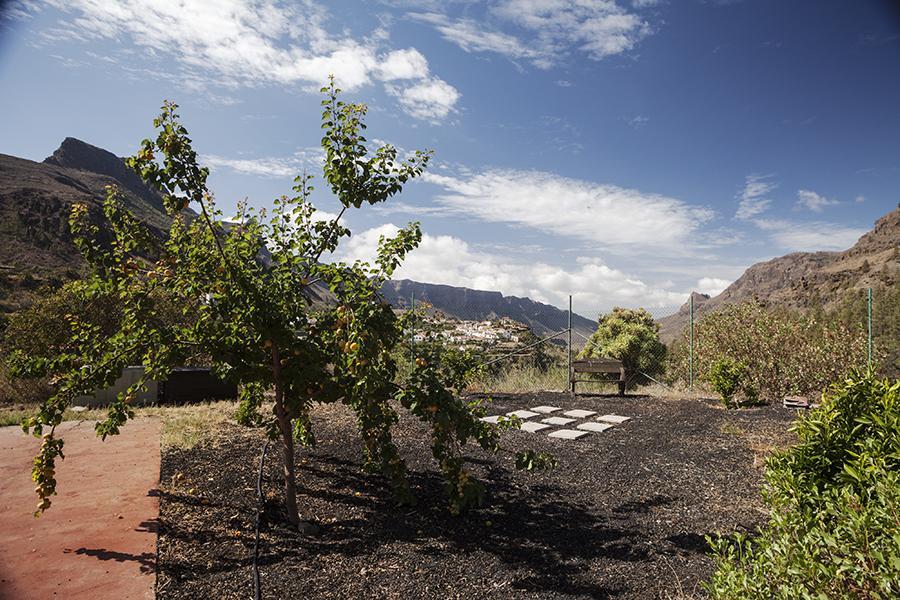 Ecotara Canary Islands Guest House Fátaga Стая снимка