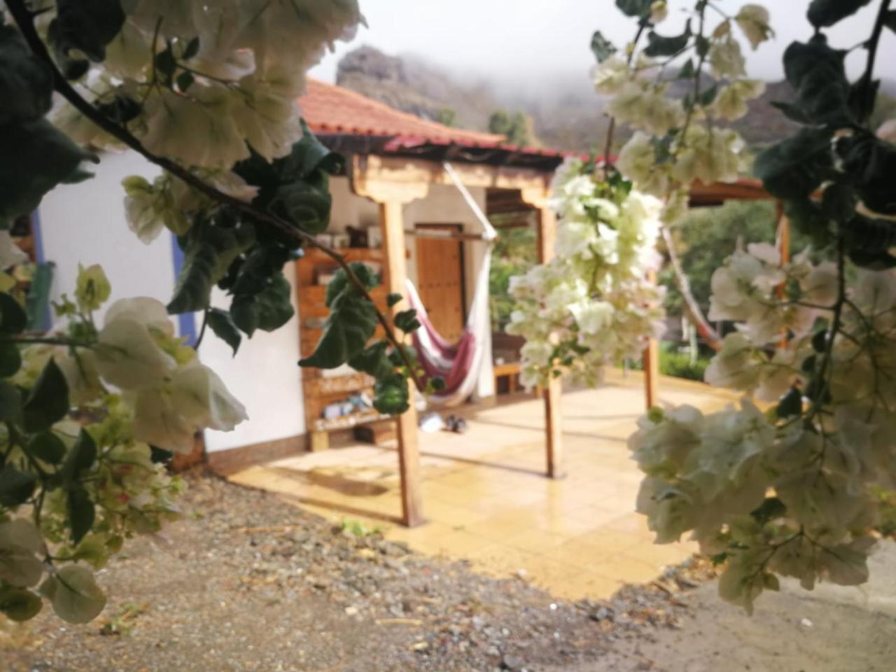 Ecotara Canary Islands Guest House Fátaga Екстериор снимка
