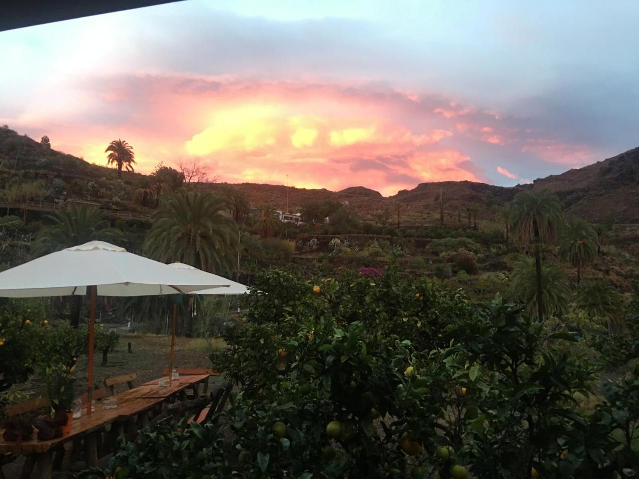Ecotara Canary Islands Guest House Fátaga Екстериор снимка