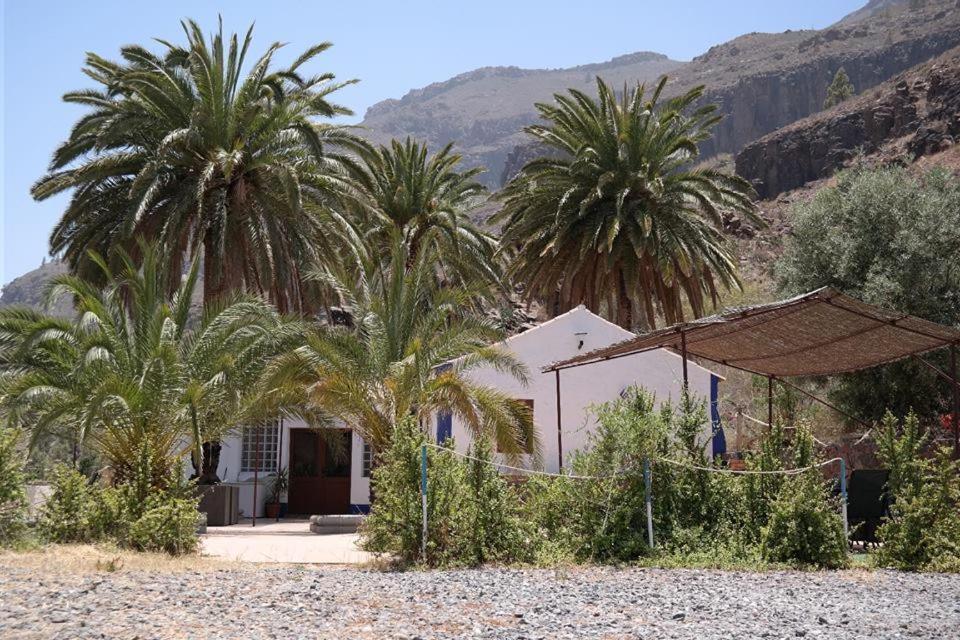 Ecotara Canary Islands Guest House Fátaga Екстериор снимка